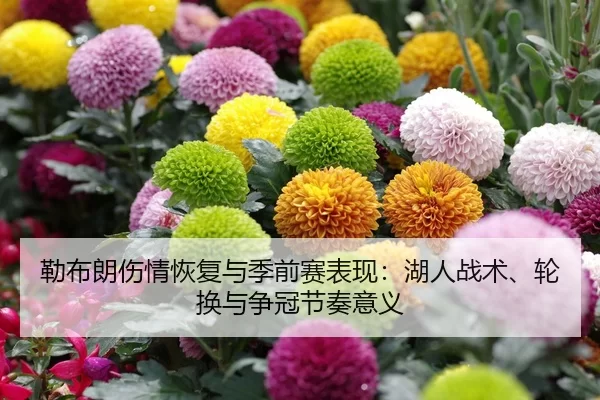 lei-bu-lang-shang-qing-hui-fu-yu-ji-qian-sai-biao-xian-hu-ren-zhan-shu-lun-huan-yu-zheng-guan-jie-zou-yi-yi-2-224.jpg